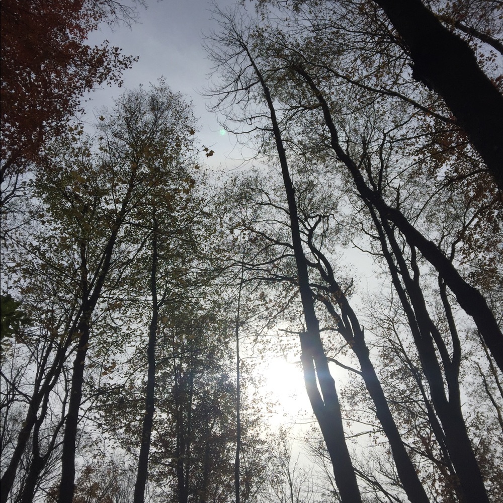 Meet your Posher, Todd